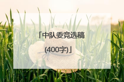 中队委竞选稿(400字)
