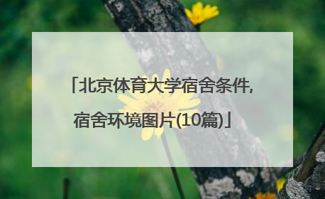 北京体育大学宿舍条件,宿舍环境图片(10篇)