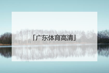 「广东体育高清」直播广东体育台