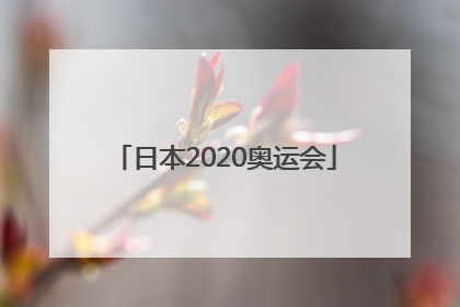 「日本2020奥运会」日本2020奥运会奖牌榜