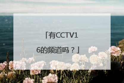 有CCTV16的频道吗？