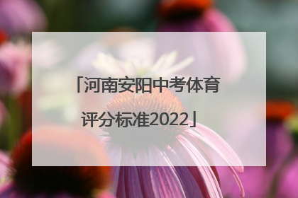 河南安阳中考体育评分标准2022