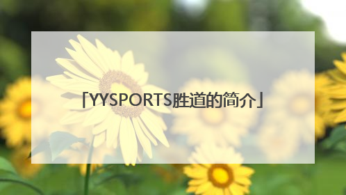 YYSPORTS胜道的简介