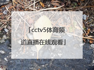「cctv5体育频道直播在线观看」体育频道节目表cctv5直播在线观看