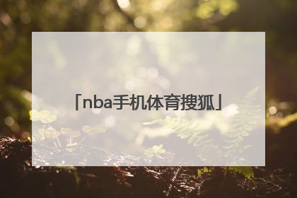 「nba手机体育搜狐」nba体育频道搜狐