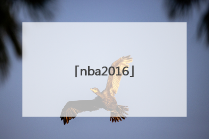 「nba2016」nba2016年总决赛
